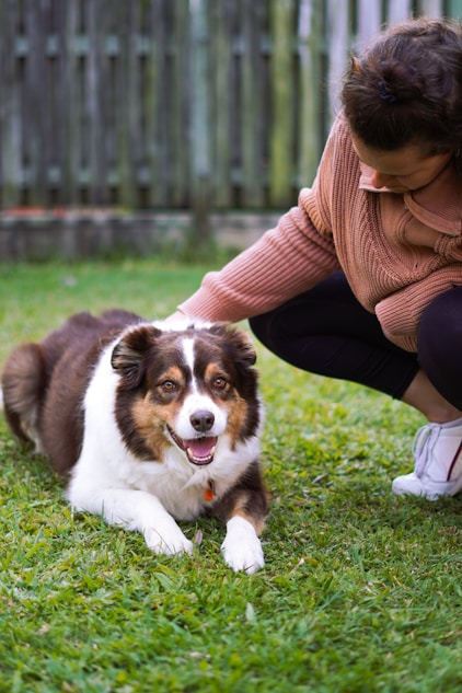 A pet moment captured by the Pet Market community