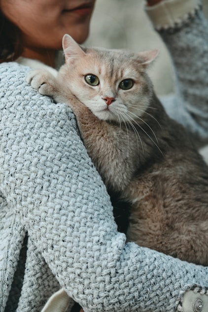 A pet moment captured by the Pet Market community