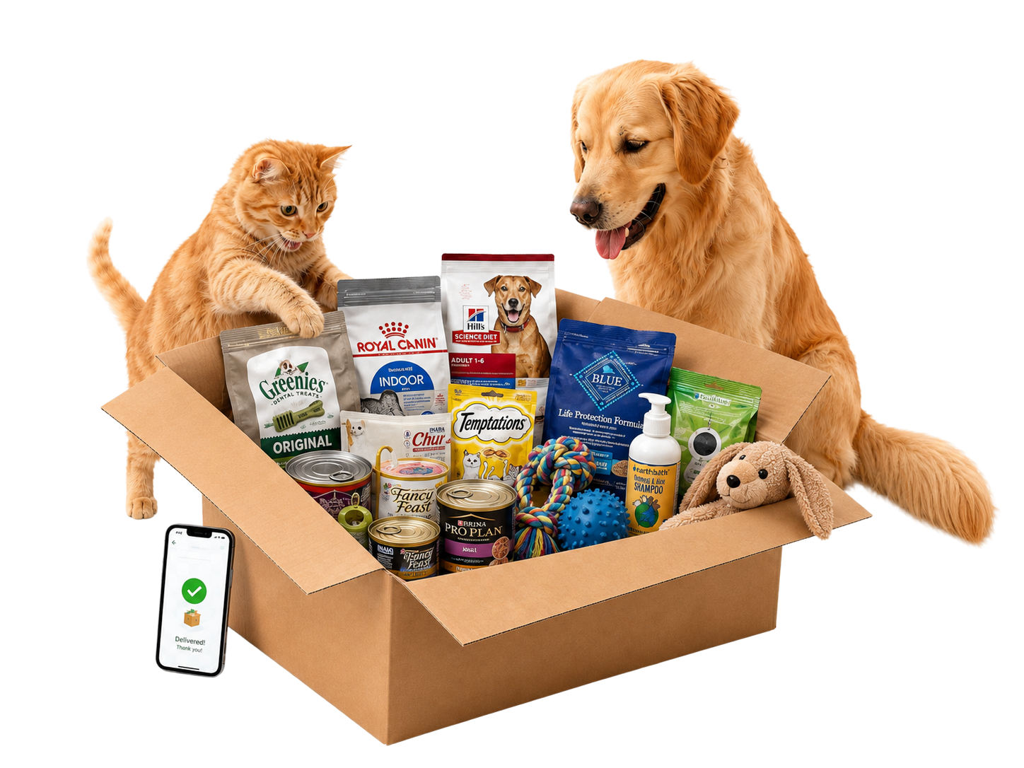 A cat and a dog with a delivered box of pet supplies